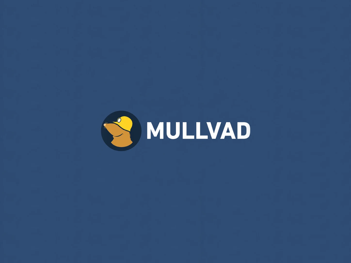 Mullvad VPN 6-month code for 5 devices